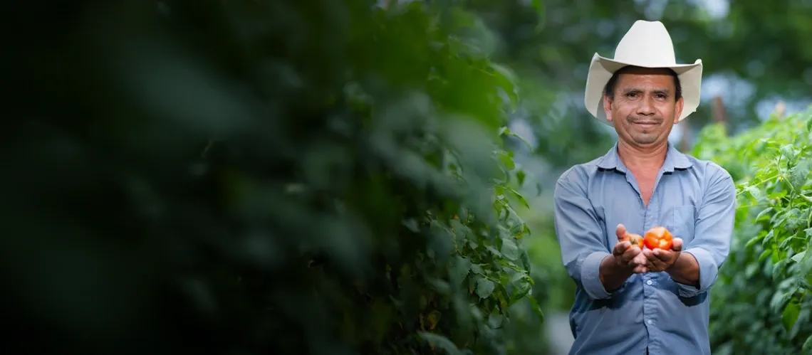 Iniciativa Digital HDH