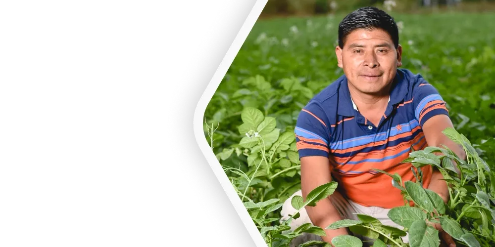 Campesino Progresa